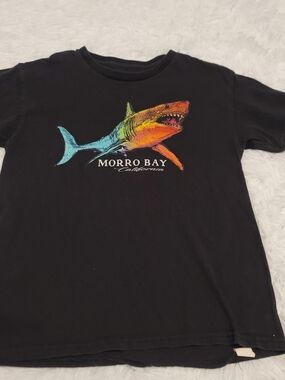 🔥3 For $15 Morro Bay Rainbow Shark Graphic Tee - Black Boys Mediun